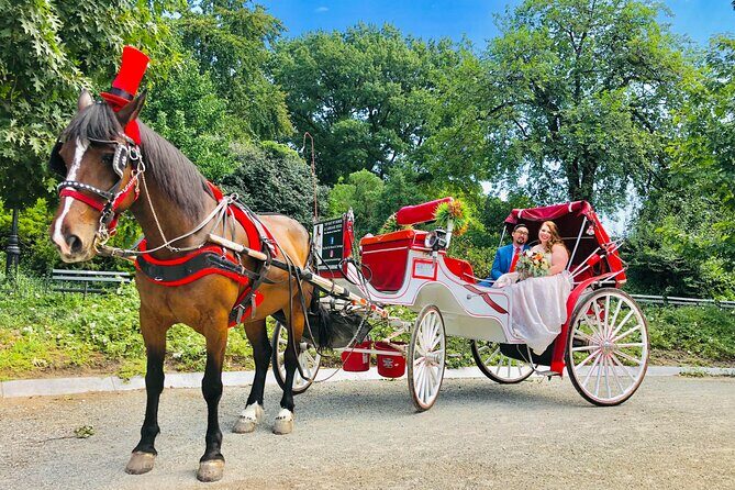 VIP Central Park Champagne Tour with Photos(50 min)~Skip the line - Final Thoughts: Who Will Get the Most Out of This Tour?