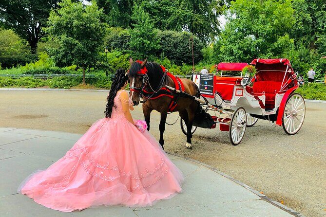 VIP Central Park Champagne Tour with Photos(50 min)~Skip the line - FAQs