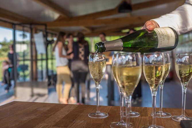 VIP Champagne Region Day Trip with 7 Tastings & Lunch from Paris - Exploring the Champagne Region: What to Expect