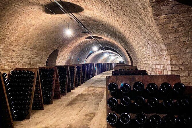 VIP Champagne Region Day Trip with 7 Tastings & Lunch from Paris - The Sum Up