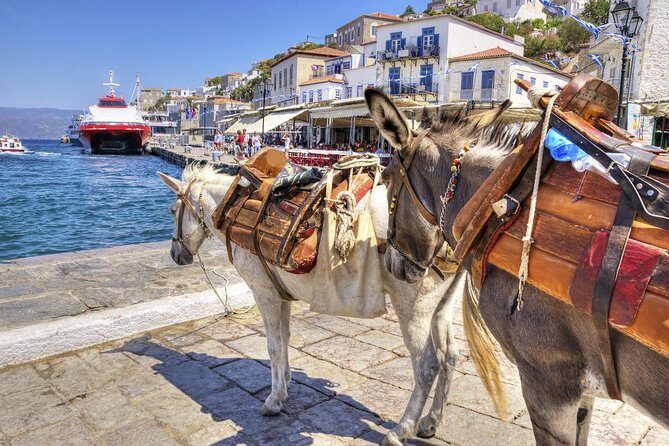 VIP Day Cruise from Athens to Hydra, Poros and Aegina - Deep Dive into the Experience: What You Can Expect