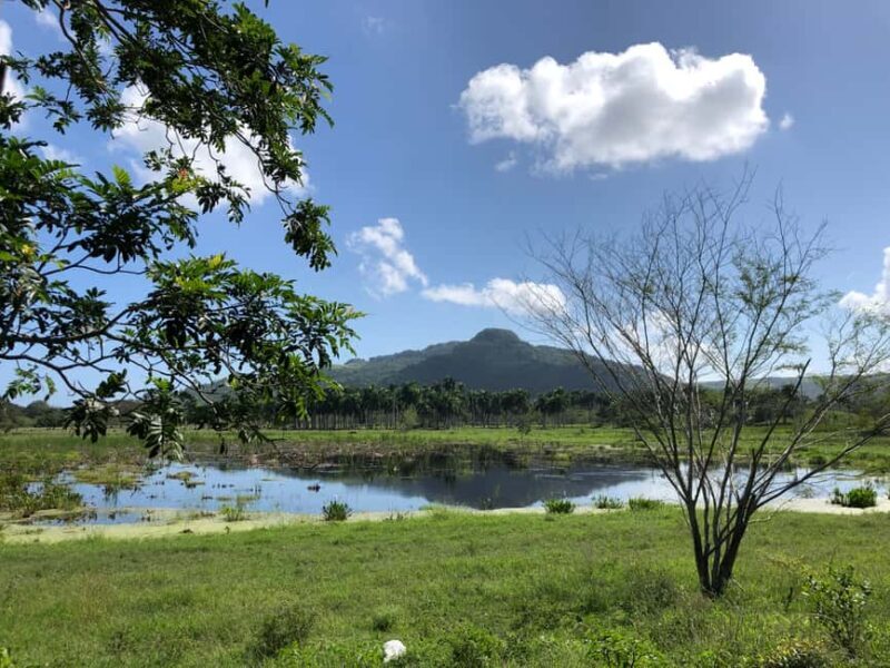 VIP DayPass | ATV's, Zip Lines, Horse Riding| Hotel & Cruise - Practical Tips for Your Day