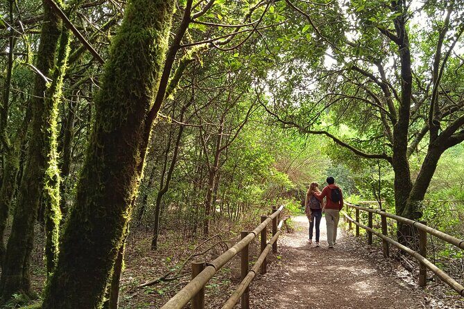 VIP experience in Magica Gomera - In-Depth Review of the La Gomera VIP Tour