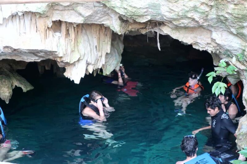 VIP Express Snorkel in 4 Paradise Cenotes - Pricing and Value