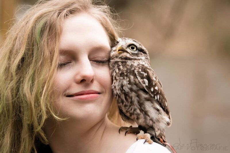 VIP falconry taster session - Discover the VIP Falconry Taster Session in North Rhine-Westphalia
