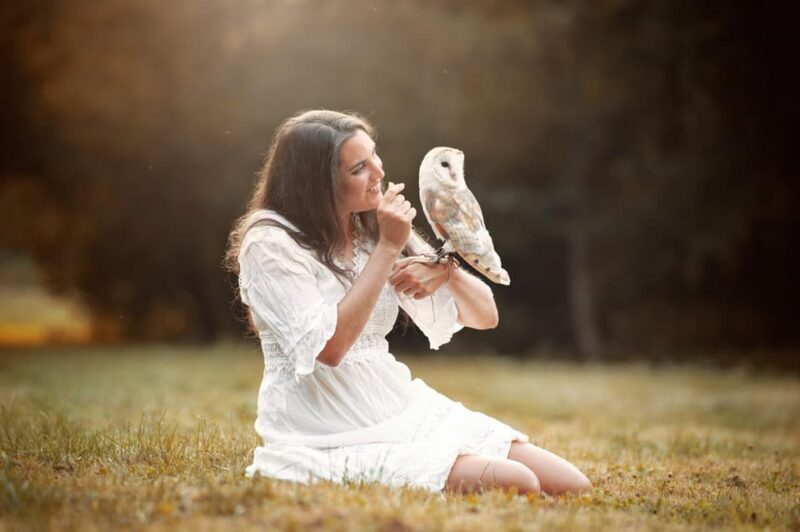 VIP falconry taster session - Key Points