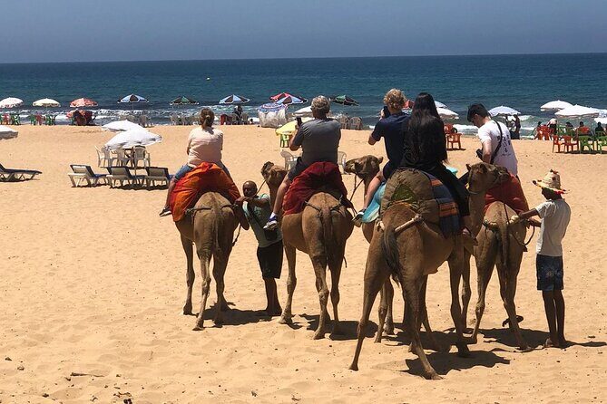 Vip Full Day Private Tangier Tour From Malaga All Inclusive - A Deep Dive into the Tangier Experience