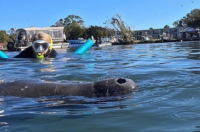 VIP Guided Swim with Manatee Tour Crystal River FL Free Photos - FAQs