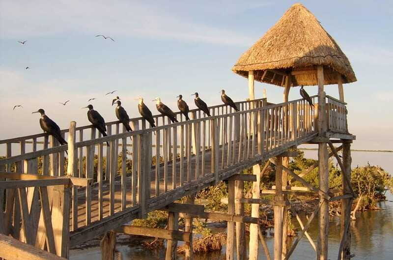 VIP Holbox Island Sunrise - 2 Points + Fruit + Coffee - Final Thoughts