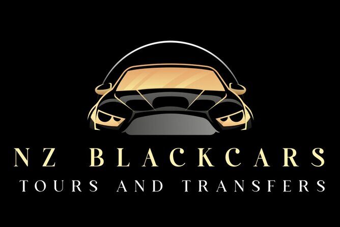 VIP / Premium Airport Transfers - Detailed Review of the VIP / Premium Airport Transfers Experience