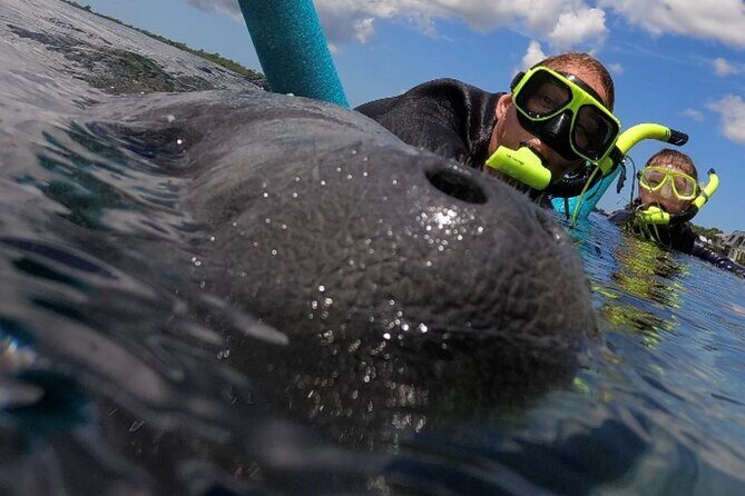 VIP Private Boat Manatee Snorkel Tour with In-Water Guide and Photograper - A Closer Look at the VIP Private Boat Manatee Snorkel Tour in Crystal River