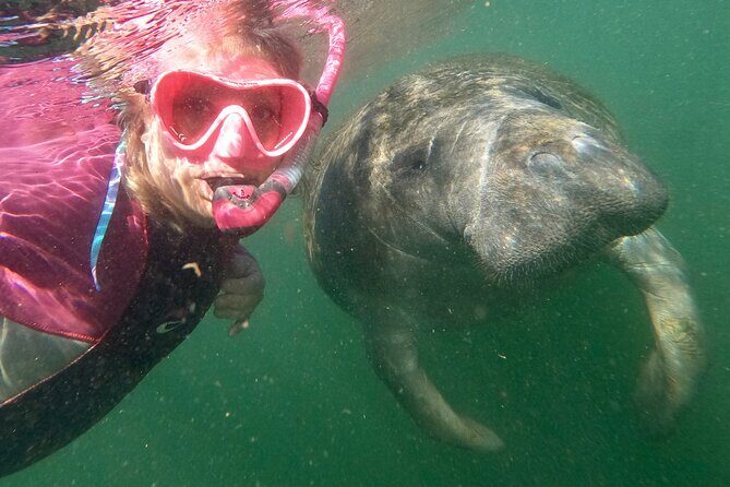 VIP Private Boat Manatee Snorkel Tour with In-Water Guide and Photograper - Key Points