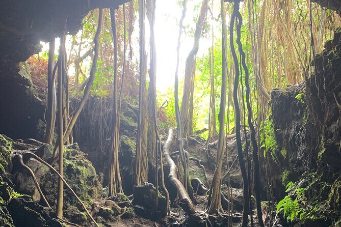 VIP Private Full-Day Road to Hana Tour from Lahaina-Kapalua - Analyzing the Value and Practical Aspects