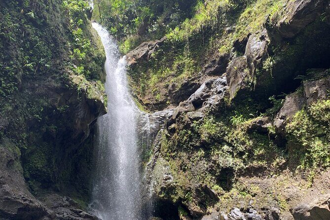 VIP Private Full-Day Road to Hana Tour from Lahaina-Kapalua - Final Thoughts