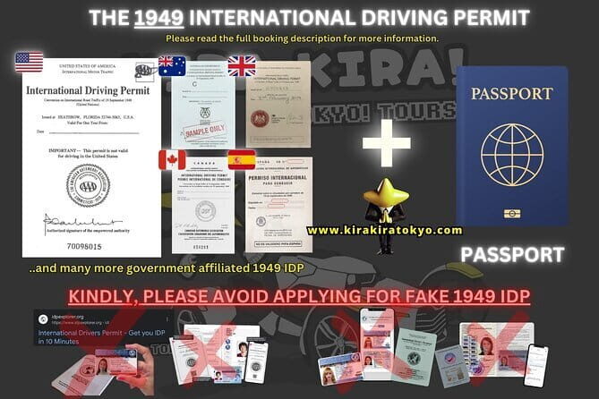 [VIP] Private Group Tokyo City Go-Kart Experience Tour! [90mins] - Key Points