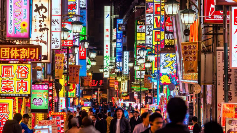 VIP Private Hostess Club Tokyo Night Life Karaoke with Girls - Who Should Consider This Tour?