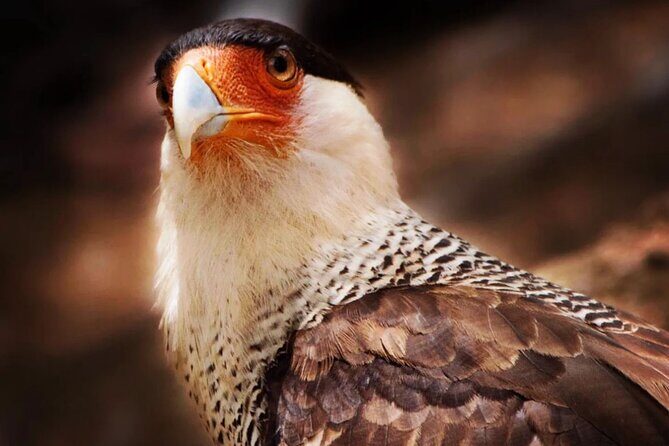 VIP Private North Island Tour - Rincon: The Oldest Town