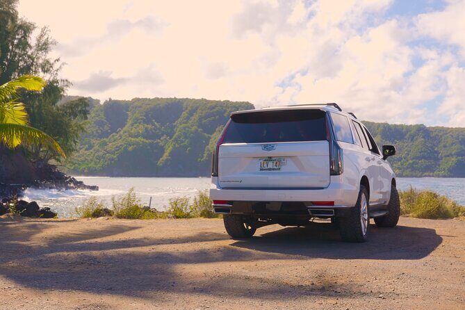 VIP Private Road to Hana Tour with Pick Up - Who Should Book This Tour?
