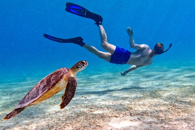 VIP Private Snorkeling Tour with Underwater Photos - Frequently Asked Questions