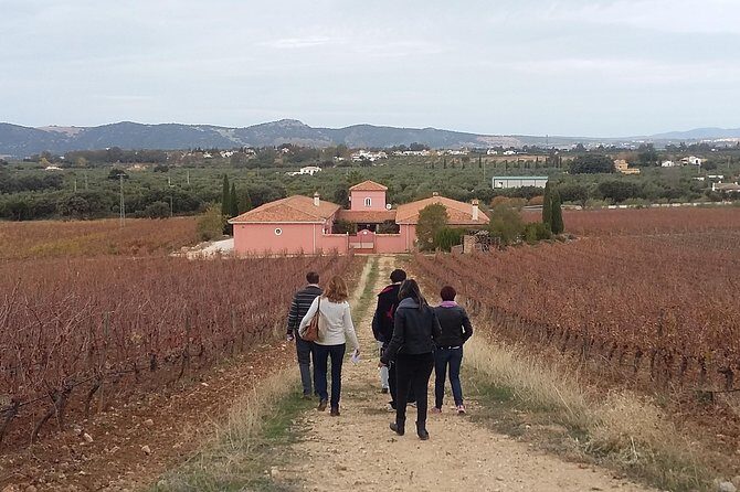 VIP Ronda Wine Tour and Tasting and Gourmet Lunch Experience with Winemaker - FAQs