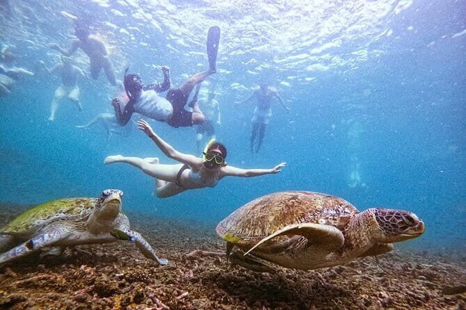 VIP Samui to Nangyuan and TAO adventures Island Tour - Exploring the Itinerary: What You Can Expect