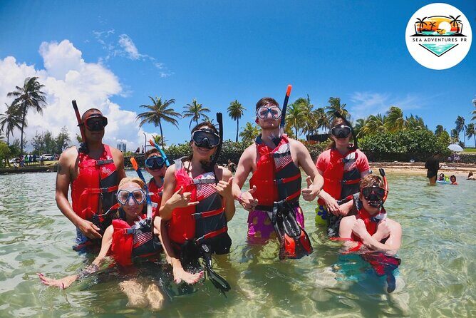 VIP San Juan: Snorkeling Tour with Turtles with Free Videos - Key Points