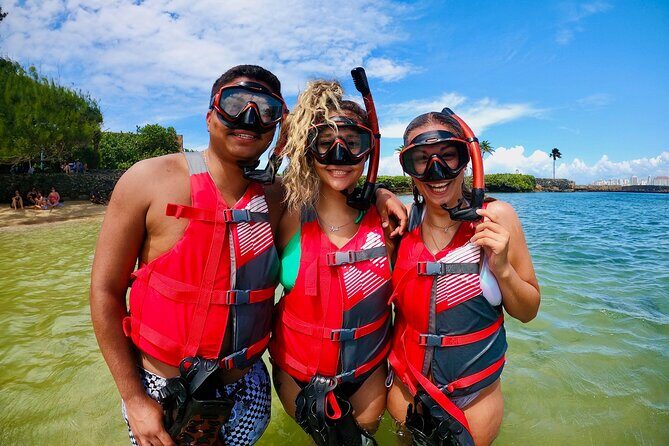 VIP San Juan: Snorkeling Tour with Turtles with Free Videos - In The Sum Up