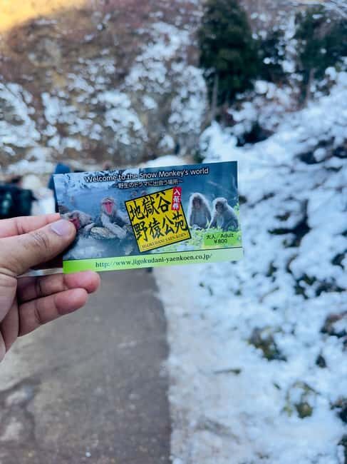 VIP Snow Monkey Park & Zenkoji Temple One Day Private Tour - What Makes This Tour Special?