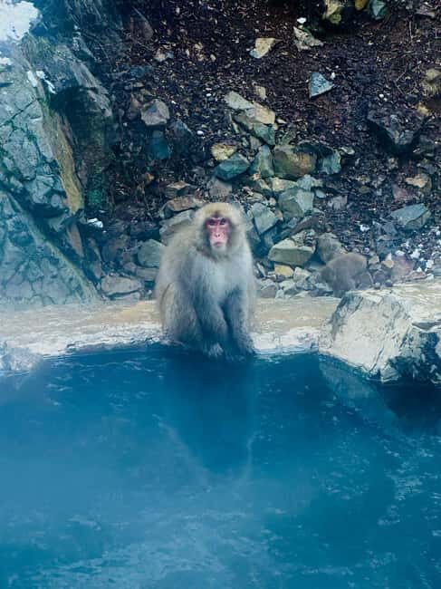 VIP Snow Monkey Park & Zenkoji Temple One Day Private Tour - The Value of the Experience