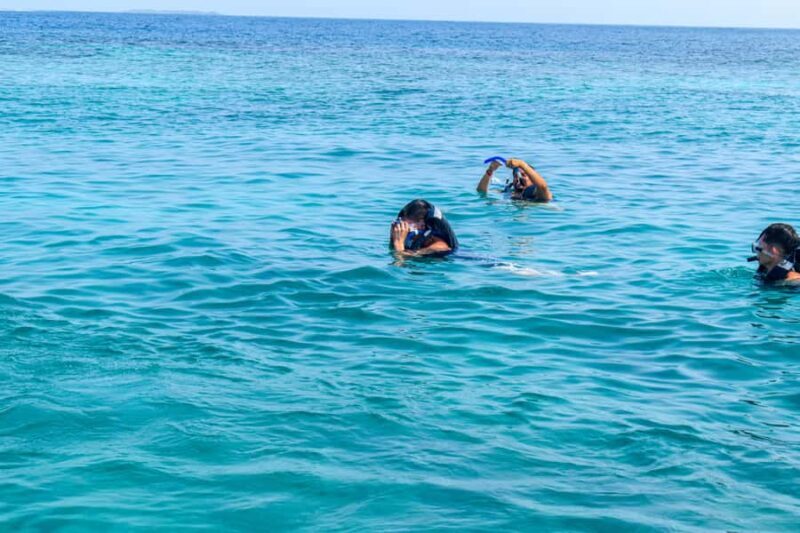 VIP Tour 5 Rosario Islands from Cartagena: An Unforgettable Adventure! - Snorkeling at Isla Grande