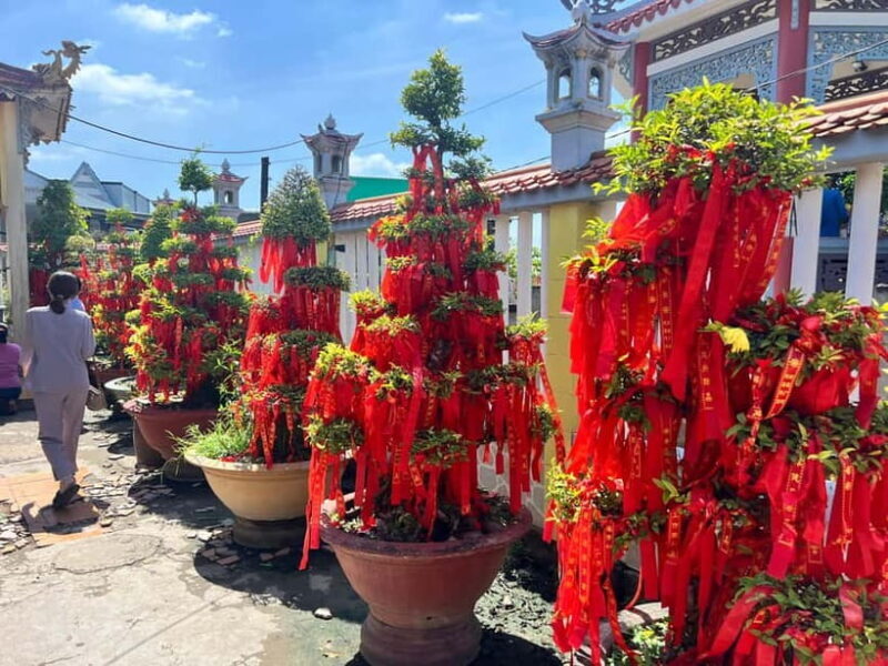 VIP Tour Authentic Mekong Delta & Local pagoda by SpeedBoat - Who This Tour Is Best For