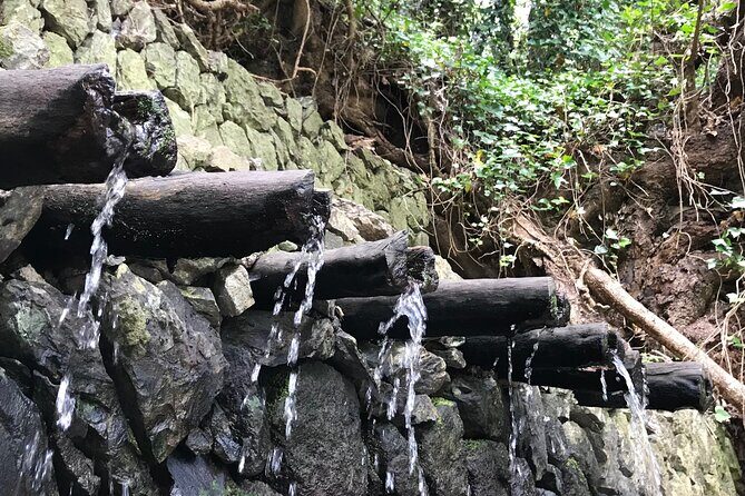 VIP tour of La Gomera from Tenerife - Key Points