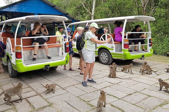 VIP Tour to Can Gio Mangrove Forest by Speed Boat - Final Thoughts
