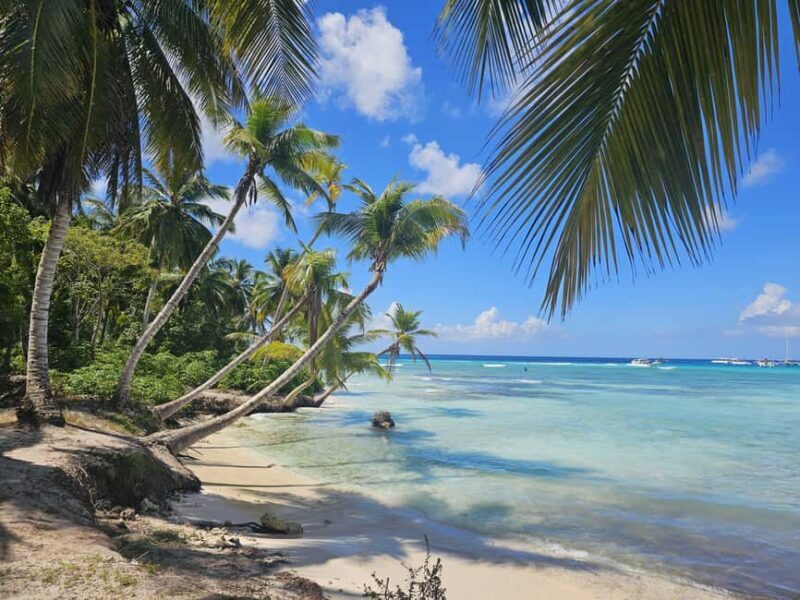 VIP tour to Saona Island by speedboat with a visit to paradise beaches - What’s Included and What You Should Know