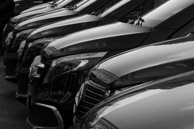 VIP VAN driver Transfer to Disneyland Paris - Key Points