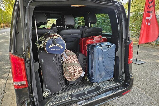 VIP VAN driver Transfer to Disneyland Paris - Final Thoughts