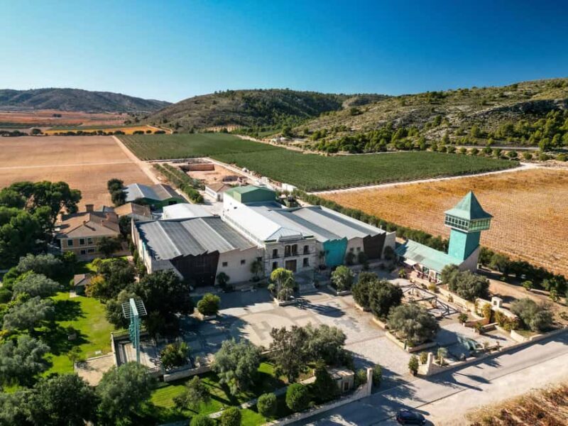 VIP Wine Experience | Costa Blancas Hidden Estates - Why This Tour Offers Great Value