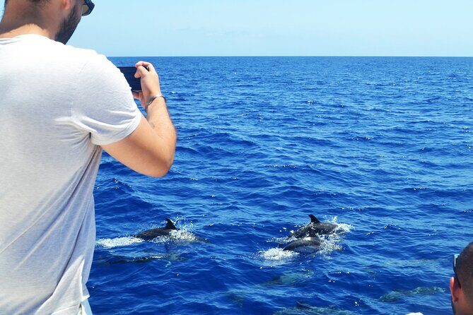 VipDolphins Luxury Whale Watching - The Sum Up: Who Will Love VipDolphins?