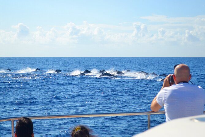 VipDolphins Luxury Whale Watching - Frequently Asked Questions