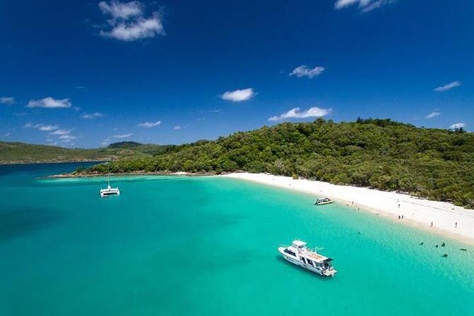 Viper: Great Barrier Reef Snorkel Including Whitehaven Hill Inlet - Final Thoughts