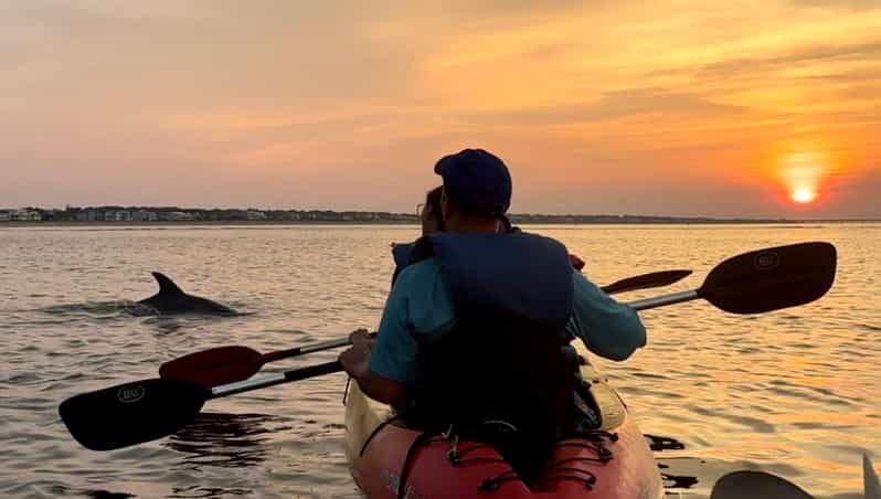 Virginia Beach: Dolphin Kayak Tour: This is a Workout! - The Sum Up