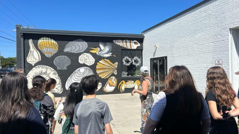 Virginia Beach: ViBe District Guided Walking Mural Tour - Final Thoughts: Who Will Enjoy This Tour?