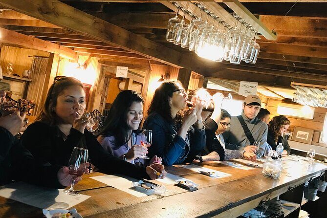 Virginia Wineries Guided Tour & Tastings from Washington DC - Final Thoughts