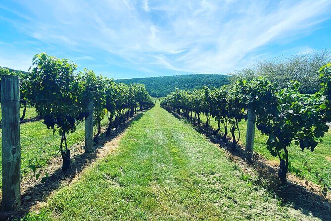 Virginia Wineries Tour - Starting Point and Transportation