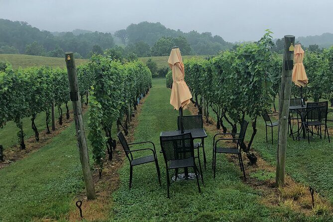 Virginia Winery Excursion By Luxury Vehicle 2-Wineries - A Stylish Journey Through Virginia’s Vineyards