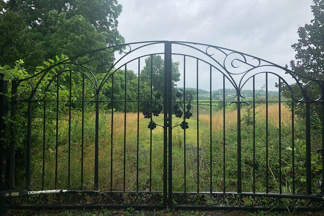 Virginia Winery Excursion By Luxury Vehicle 2-Wineries - Final Thoughts