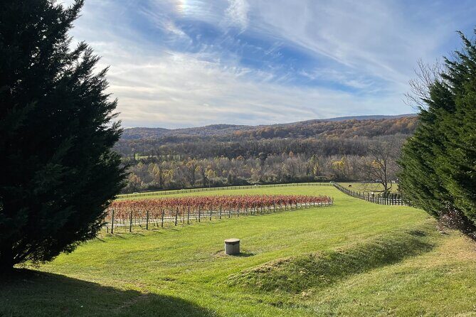 Virginia Winery Excursion by Luxury Vehicle Three wineries - Who Will Appreciate This Tour?