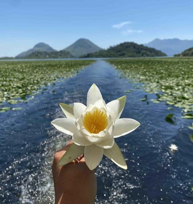 Virpazar: Skadar Lake National Park Guided Boat Tour - Experience the Beauty of Skadar Lake on a Guided Boat Tour from Virpazar