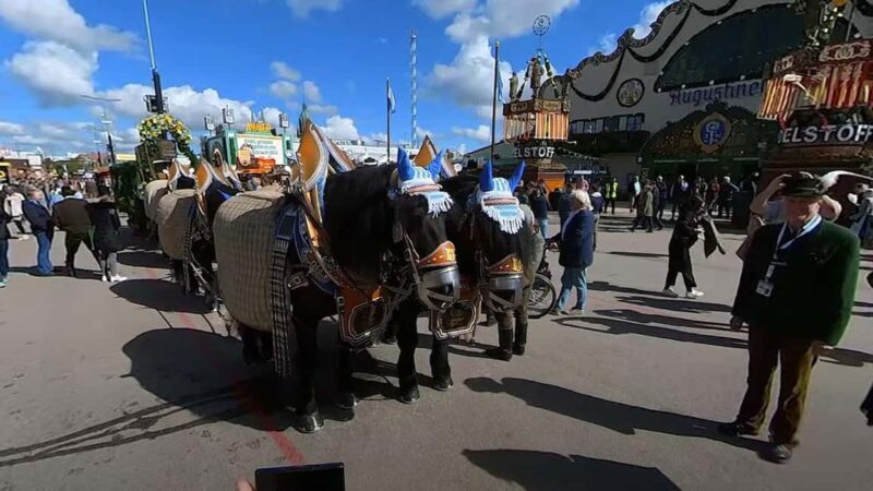 Virtual Tour 360 Video Octoberfest Munich with Wolfgang - Virtual Tour of Oktoberfest Munich with Wolfgang: A Detailed Look
