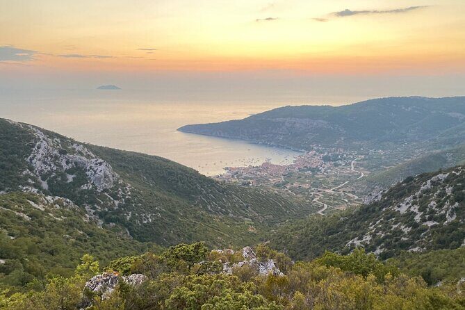 Vis Military Tour - The Guide and Group Size